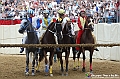 VBS_1287 - Palio di Asti 2024_1